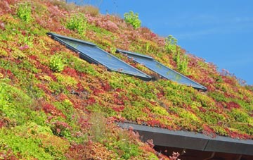 Folkingham living roof systems