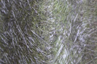 Folkingham fibreglass roof work